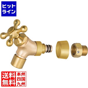 vGgy12/1蓖Im21I1ő100%|CgobNz@ j\ C[W[tH[Zbg AA_v^[Zbg S[h 603901610