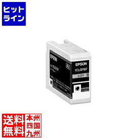 要エントリ【05/20 24時間限定当選確率2分の1！1等最大100%ポイントバック】　 エプソン ICLGY97 インクカートリッジ(ライトグレー) ICLGY97