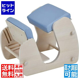 プロポーションチェア CH-910 ホワイト/ブルー 宮武製作所 | 背筋矯正 学習チェア チェア イス 椅子 子どもから大人まで 高さ調節 姿勢 背筋 背中