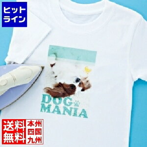 TTvC CNWFbgɋACvg(zp) JP-TPRTYN-10