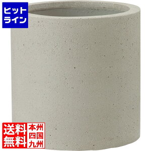 vGgy11/10蓖Im21I1ő100%|CgobNz@ j\ R[fB V_[390 O[ 653501210