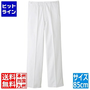 vGgy12/5 24Ԍ蓖Im21I1ő100%|CgobNz@ TybNXCXg Y{ KC-430(O{^)85cm SZB01085