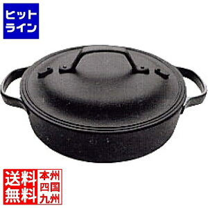 y NbNgbv mύ  ^ 24cm  2.1l CT-6 IHΉ(100V/200V) | 암S ύݓ ی^ ^ S