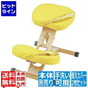 y}\z11/11 AM1:59܂ v|[V`FA ւJo[ 2Zbg CV-8K  {쏊 | SJo[ 􂢉