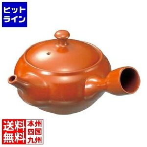 �v�G���g���y12/20 24���Ԍ��蓖�I�m��2����1�I1���ő�100%�|�C���g�o�b�N�z�@ �}�{ A-1 1.6�� 320cc ���퐻