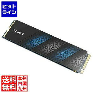 �A�y�C�T�[ AS2280P4U Pro M.2 PCIe Gen3 x4 �q�[�g�V���N�t 256GB AP256GAS2280P4UPRO-1