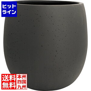 j\ ejAX o[420 AeB[NuE 653201210