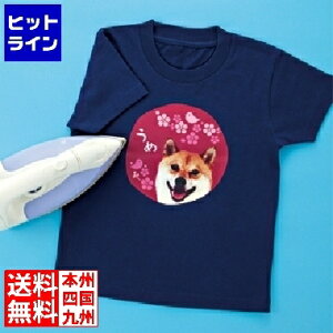 �v�G���g���y12/20 24���Ԍ��蓖�I�m��2����1�I1���ő�100%�|�C���g�o�b�N�z�@ �T�����T�v���C �C���N�W�F�b�g�J���[�z�p�A�C�����v�����g�� JP-TPRCLN-10