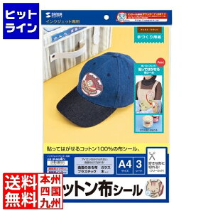 �v�G���g���y12/20 24���Ԍ��蓖�I�m��2����1�I1���ő�100%�|�C���g�o�b�N�z�@ �T�����T�v���C �C���N�W�F�b�g�p�R�b�g���z�V�[�� JP-NU4N