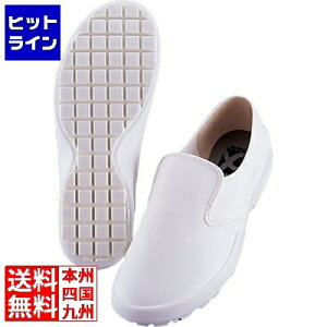 vGgy11/10蓖Im21I1ő100%|CgobNz@ OiS OiVFtCgXj[J[ -7000 (ϖ) 22cm 012016001