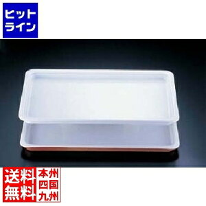 vGgy12/10 24Ԍ蓖Im21I1ő100%|CgobNz@ C 퐻 pKXgm[p PB625-01 1/1 zCg NGS0801