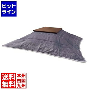 vGgy12/15 24Ԍ蓖Im21I1ő100%|CgobNz@ J EXKPR^ctg ZCzEPC KK-237