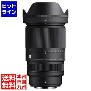 �V�O�} 16-300/3.5-6.7DCOS(C)�t�WX