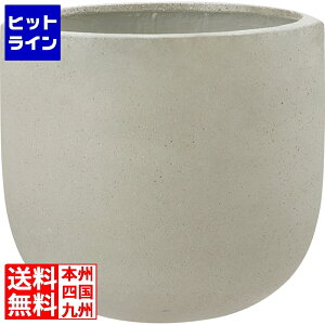 vGgy11/10蓖Im21I1ő100%|CgobNz@ j\ R[fB U|bg460 O[ 653511210