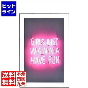 �v�G���g���y12/20 24���Ԍ��蓖�I�m��2����1�I1���ő�100%�|�C���g�o�b�N�z�@ ���J �A�[�g�p�l�� ART-200A