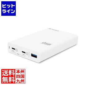 アーキサイト Dual USB-C Travel USB Charger ノートパソコンを充電しながらiPhoneも同時に急速充電 最大合計65W AM-PDC618A1