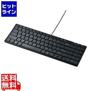 vGgy11/25 24Ԍ蓖Im21I1ő100%|CgobNz@ TTvC pzUSBXL[{[h SKB-E2UN