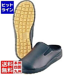 vGgy12/5 24Ԍ蓖Im21I1ő100%|CgobNz@ ATqV[Y ATqRbN102(ϖ) 22.5cm 008728002