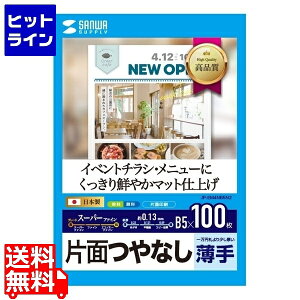 vGgy11/10蓖Im21I1ő100%|CgobNz@ TTvC CNWFbgX[p[t@Cp(B5) JP-EM4NB5N2