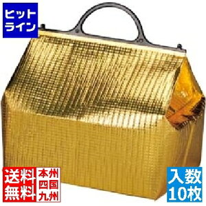 ] ۗEۉobO GXP[N[ S[h(10)PT-3