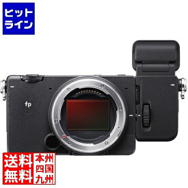 【スーパーセールP最大36倍】6/11 AM1:59まで シグマ fp L ELECTRONIC VIEWFINDER EVF-11 キット