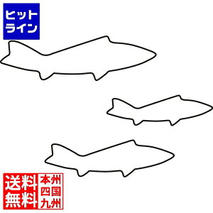 yX[p[SALEz12/11 AM1:59܂ J_ (KANKUMA)  3PC 