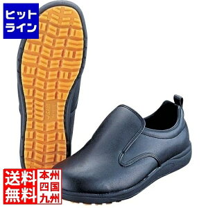 vGgy12/5 24Ԍ蓖Im21I1ő100%|CgobNz@ ATqV[Y ATqRbN101(ϖ)  23cm 008726003