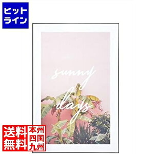 �v�G���g���y12/20 24���Ԍ��蓖�I�m��2����1�I1���ő�100%�|�C���g�o�b�N�z�@ ���J �A�[�g�p�l�� ART-200B