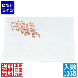 A[ebN ڎO ΂܂ RۉԘa(100)WS-13 ݂ QMT30