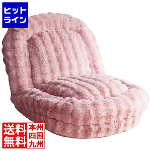 {쏊 ~^P ӂƂ\t@xbh SF-1650 sN SF-1650