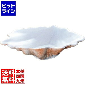 �v�G���g���y05/20 24���Ԍ��蓖�I�m��2����1�I1���ő�100%�|�C���g�o�b�N�z�@ ���C���� �I�[�u���E�F�A�[ �V�F���M PC180-33 �J���[ RLI7601