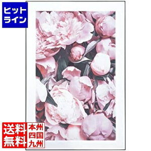 �v�G���g���y12/20 24���Ԍ��蓖�I�m��2����1�I1���ő�100%�|�C���g�o�b�N�z�@ ���J �A�[�g�p�l�� ART-200C