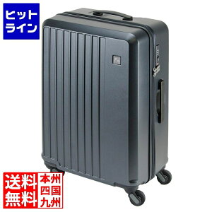 エンドー鞄 1-252 FREQUENTER LIEVE リエーヴェ4輪キャリー 57cm 容量約52L ビジネス 旅行 キャリーケース 軽量 静音