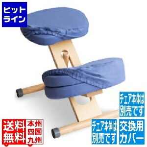 y}\z11/11 AM1:59܂ {쏊 ~^P v|[V`FApփJo[ 3ZbgCV-9K@CIbg CV-9K