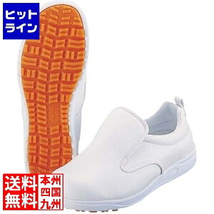 vGgy12/5 24Ԍ蓖Im21I1ő100%|CgobNz@ ATqV[Y ATqRbN 101(ϖ)  26cm 008725009