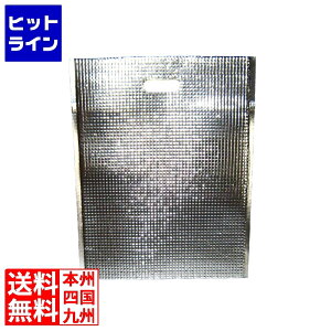 ] ۗEۉobO GXP[N[ Vo[(10)LC-L