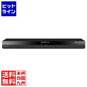 �V���[�v �u���[���C�f�B�X�N���R�[�_�[ �_�u���`���[�i�[�^�C�v 2TB�^�C�v 2B-C20GW1
