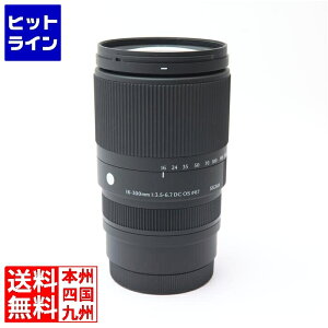 �V�O�} 16-300/3.5-6.7DCOS(C)L�}�E���g