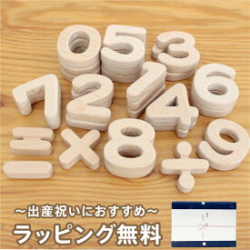 出産祝い おもちゃ 天然素材 木製 誕生日 プレゼント 積み木 勉強スクスク さんすうつみき 人と木 のし対応 ギフト 知育玩具 男の子 女の子 0歳 1歳 2歳 3歳 赤ちゃん 日本製 【勉強スクスク さんすうつみき】