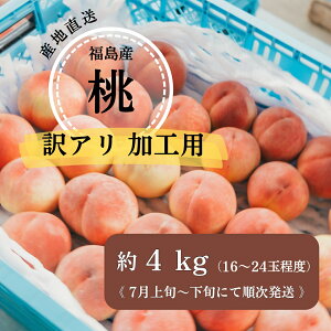 ��2026�N�ā��������Y �Y�����i���H�p�E�N�[���ցj��4kg�� ��s�\�� 7����{�`���{���� �\�� �� ���� ���� �ʕ� �������� �t���[�c �󂠂� �ƒ�p �l�ߍ��킹 ���� �ӂ�����