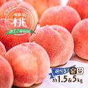 【選べる発送時期＆容量】◆2025年夏◆＜福島産 産直桃（ご家庭用）約1.5kg／約5kg＞ 先行予約 予約 桃 もも モモ 果…