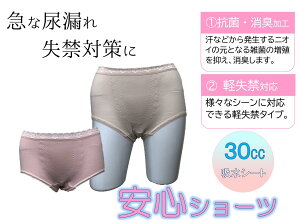 yz100 y V[c wlp [ MELELLE3L Rbg ARpc p փpc fB[X ̓ [Xt@yփV[ciX[X҂݁j30CC@zV[g