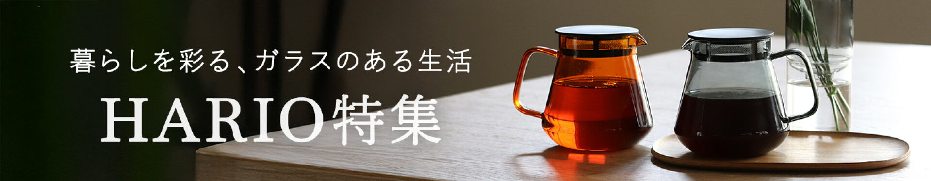 HARIO特集