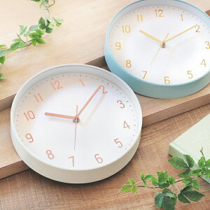 yIׂTtz |v dgv a 24.8cm k Ǌ| Eh É