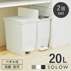 ＼レビュー特典あり／【限定カラー追加】 ゴミ箱 同色2個セット 20L SOLOW ペダルオープンツインふた付き 分別