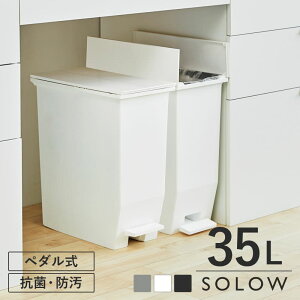 yIׂTtz S~ 35L SOLOW y_I[vcC ӂt 