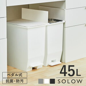 yIׂTtz S~ 45L SOLOW y_I[vcC ӂt 