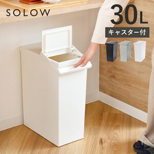 yIׂTtz S~ 30L SOLOW o[I[v ӂt 