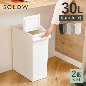 yIׂTtz S~ F2Zbg 30L SOLOW o[I[v ӂt 