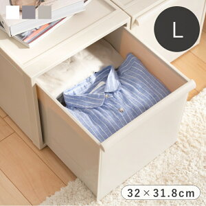 yIׂTtz like-it CNCbg N[[bgVXe L 32×s52×31.8cm [P[X o